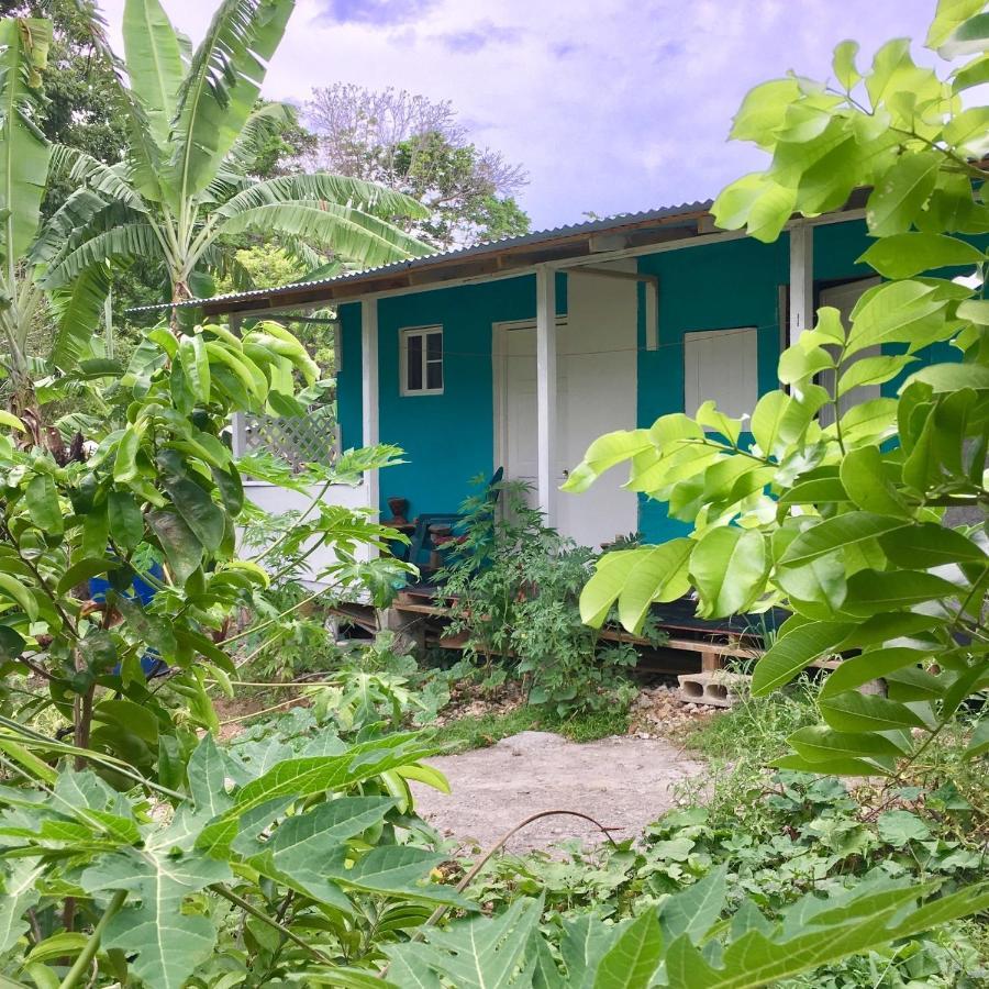 Easymans' Winifred Beach Chalets Port Antonio Extérieur photo