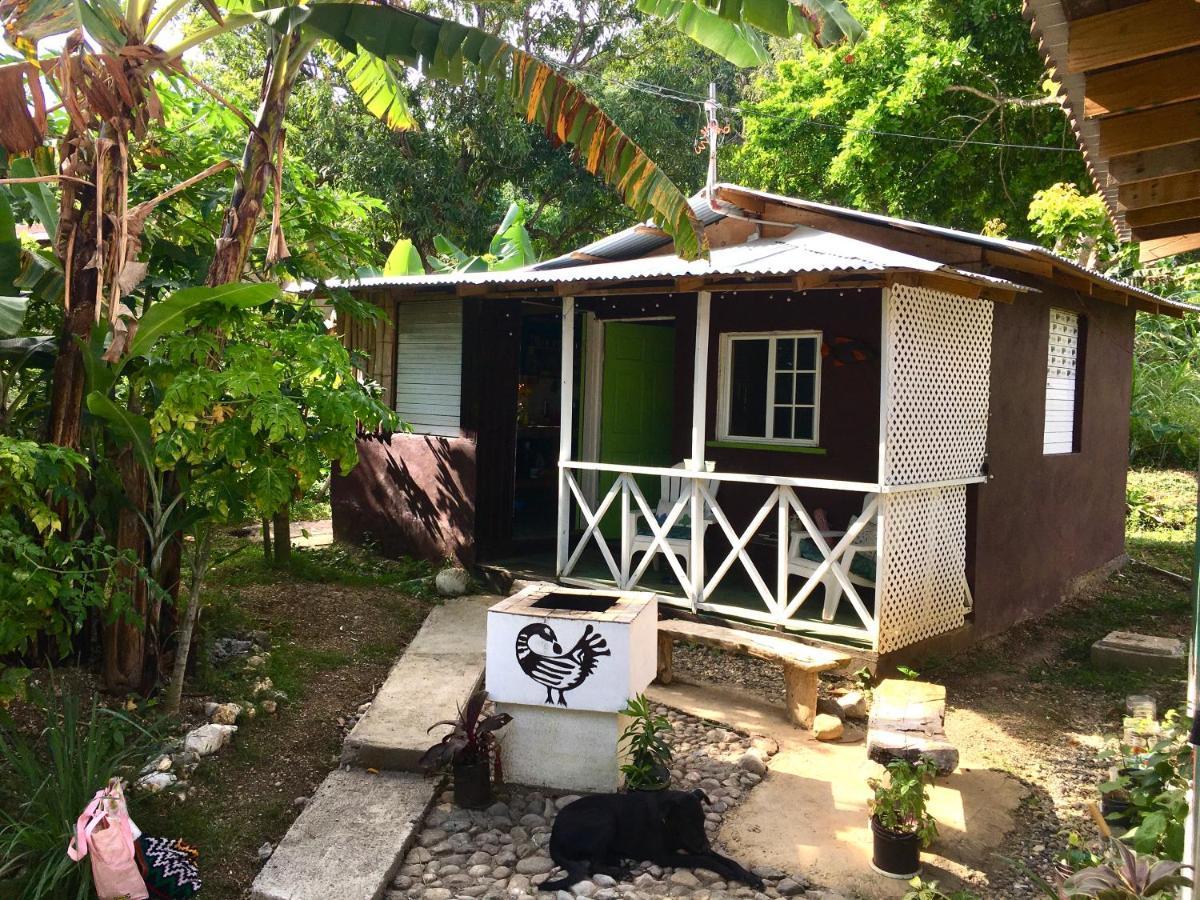 Easymans' Winifred Beach Chalets Port Antonio Extérieur photo