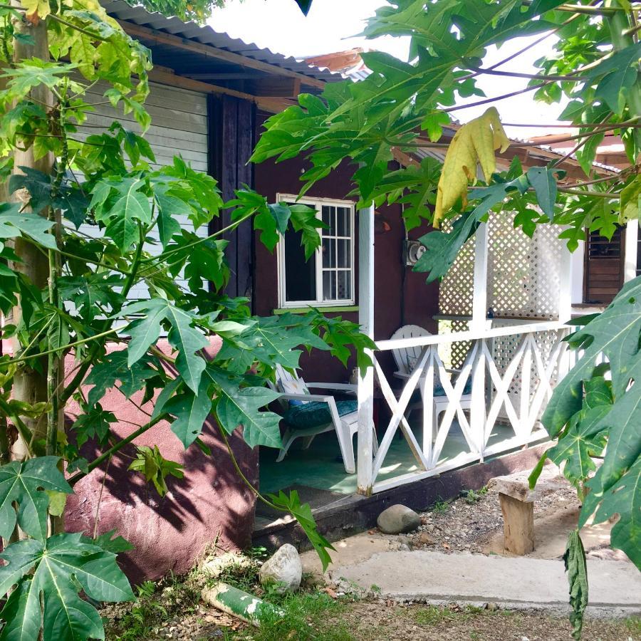 Easymans' Winifred Beach Chalets Port Antonio Extérieur photo